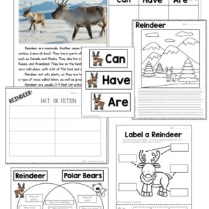 Lots of reindeer science activities for little learners.