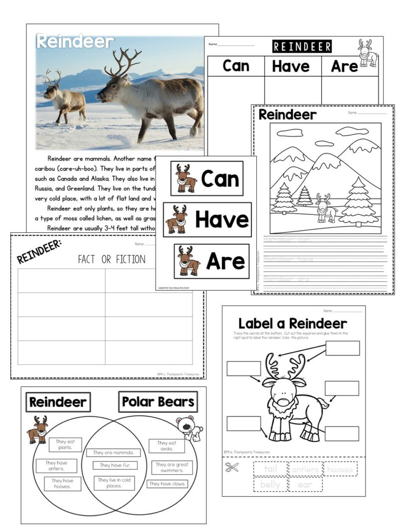 Lots of reindeer science activities for little learners.