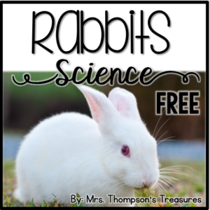 Free spring science activities about rabbits for early elementary
