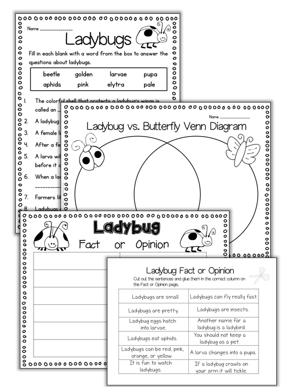 Ladybug Research Pack - Mrs. Thompson's Treasures
